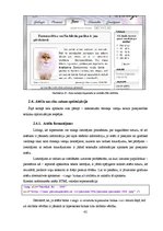 Diplomdarbs 'Mājas lapu optimizācijas uzlabošanas paņēmieni tīmekļa meklētājiem, izmantojot p', 42.