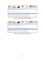 Diplomdarbs 'Mājas lapu optimizācijas uzlabošanas paņēmieni tīmekļa meklētājiem, izmantojot p', 44.