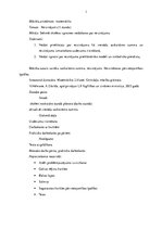 Konspekts 'Matemātikas konspekts', 1.