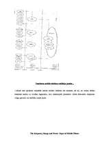 Referāts 'Mobilie telefoni', 3.