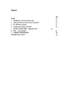 Referāts 'Interneta tīkls (IT)', 1.