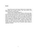 Referāts 'Interneta tīkls (IT)', 2.