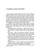 Referāts 'Interneta tīkls (IT)', 3.