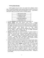 Referāts 'Interneta tīkls (IT)', 5.