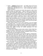 Referāts 'Interneta tīkls (IT)', 6.