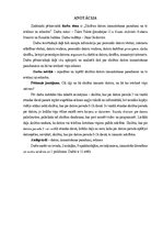 Referāts 'Skolēnu datora izmantošanas paradumi un to ietekme uz sekmēm', 2.