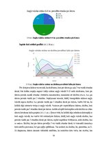 Referāts 'Skolēnu datora izmantošanas paradumi un to ietekme uz sekmēm', 19.