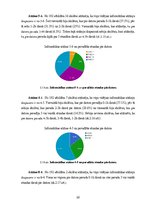Referāts 'Skolēnu datora izmantošanas paradumi un to ietekme uz sekmēm', 22.