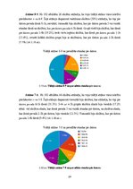 Referāts 'Skolēnu datora izmantošanas paradumi un to ietekme uz sekmēm', 24.