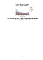 Referāts 'Skolēnu datora izmantošanas paradumi un to ietekme uz sekmēm', 31.