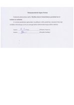 Referāts 'Skolēnu datora izmantošanas paradumi un to ietekme uz sekmēm', 37.