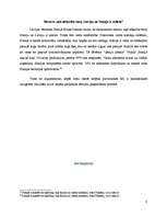 Referāts 'Balsojumi par iestāšanos Eiropas Savienībā Norvēģijā un Somijā: iemesli un rezul', 8.