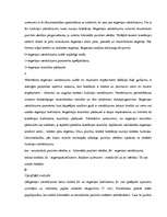 Konspekts 'Korelācijas un regresijas analīze', 6.