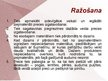 Prezentācija 'SMU biznesa plāns', 6.