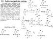 Prezentācija 'Ārstniecības vielu ķīmijas un tehnoloģijas', 20.
