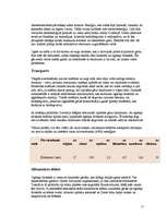 Referāts 'Ozons', 11.