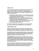 Referāts 'Ozons', 13.