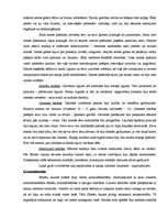 Konspekts 'Barbaru tiesības', 2.