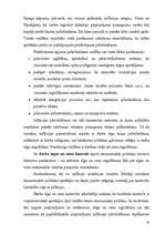 Referāts 'Bezdarbs Latvijā', 19.