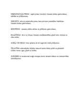 Referāts 'Receptes', 5.