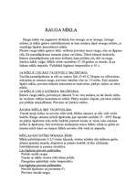 Referāts 'Receptes', 8.