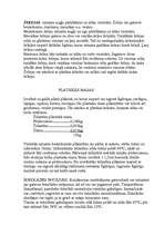 Referāts 'Receptes', 22.