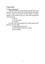 Biznesa plāns 'SIA "Čabulis"', 7.