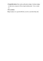 Prakses atskaite 'Aprūpes plāns. Bronhiālās astmas paasinājums', 5.