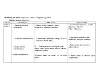 Prakses atskaite 'Aprūpes plāns. Bronhiālās astmas paasinājums', 21.
