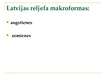Prezentācija 'Galvenie fiziski ģeogrāfisko apstākļu komponenti', 11.