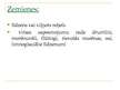 Prezentācija 'Galvenie fiziski ģeogrāfisko apstākļu komponenti', 13.