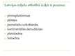 Prezentācija 'Galvenie fiziski ģeogrāfisko apstākļu komponenti', 19.