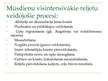 Prezentācija 'Galvenie fiziski ģeogrāfisko apstākļu komponenti', 31.