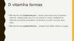 Prezentācija 'D vitamīns un tā aktualitāte', 3.