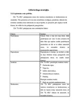 Biznesa plāns 'SIA "Tu&es"', 14.