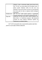 Biznesa plāns 'SIA "Tu&es"', 21.