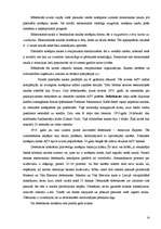 Referāts 'Bezskaidra nauda', 13.