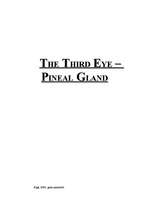 Referāts 'The Third Eye - Pineal Gland', 1.