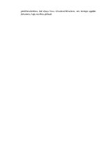 Prakses atskaite 'Rīgas brīvostas muitas kontroles punkts', 9.