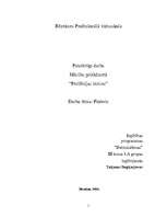 Referāts 'Ploteri', 1.