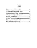 Referāts 'Programma virzībai tirgū ', 2.