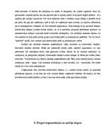 Referāts 'Programma virzībai tirgū ', 6.