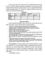 Referāts 'Programma virzībai tirgū ', 7.