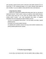 Referāts 'Programma virzībai tirgū ', 11.