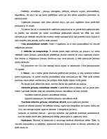 Referāts 'Programma virzībai tirgū ', 13.