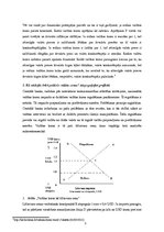 Konspekts 'Valūtas apmaiņas kursi un starptautiskā monetārā sistēma', 3.