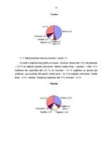 Referāts 'Mājsaimniecību izdevumu budžets', 21.