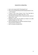 Referāts 'Gaļas liellopi', 16.