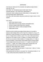 Referāts 'Kofeīna saturs Talsu tirdzniecības vietās iegādātajos enerģijas dzērienos', 2.