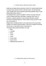 Referāts 'Kofeīna saturs Talsu tirdzniecības vietās iegādātajos enerģijas dzērienos', 6.